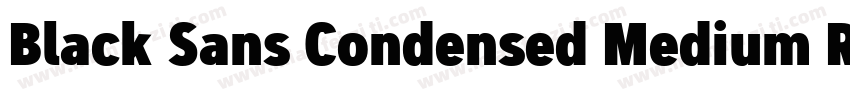 Black Sans Condensed Medium Regular字体转换